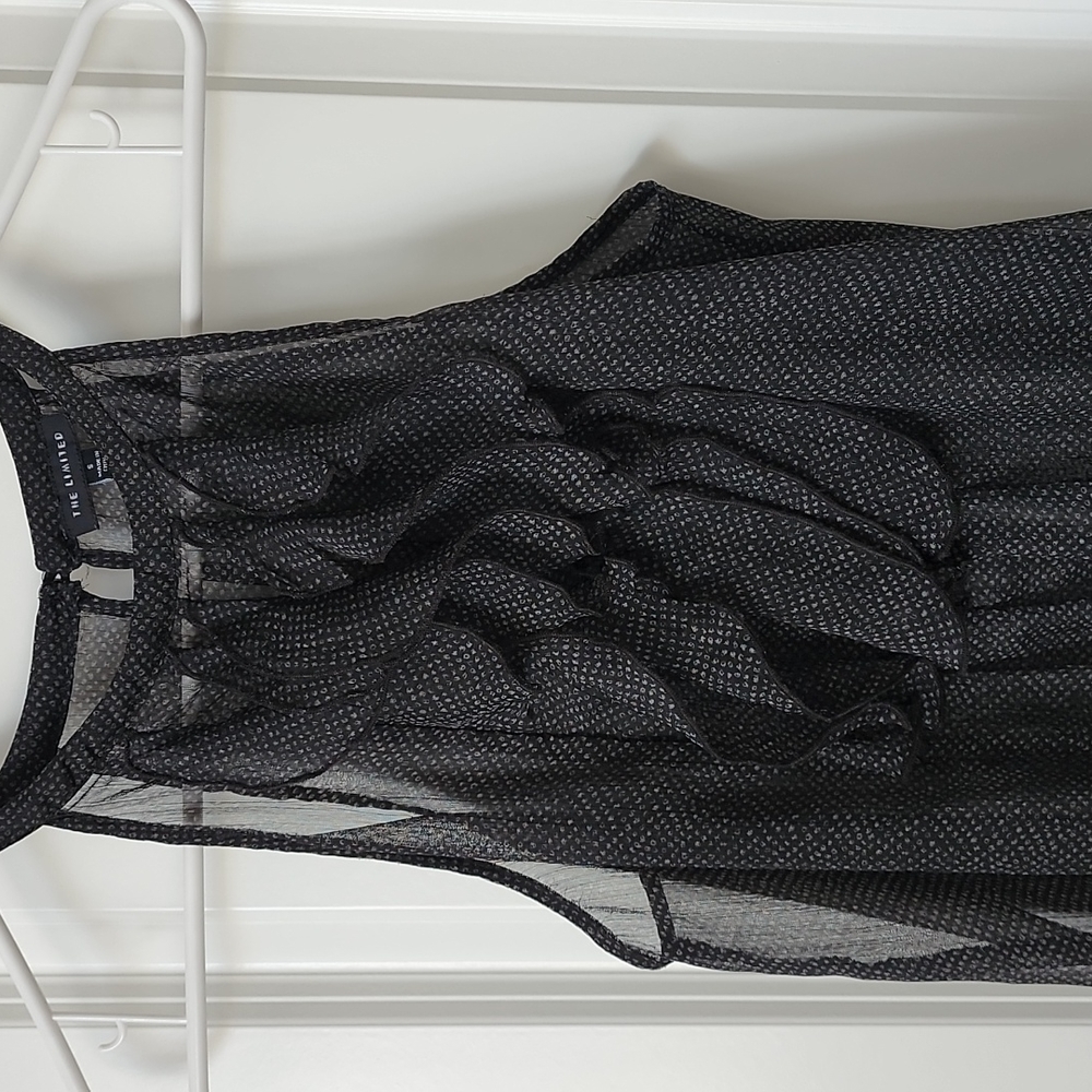 The Limited Sheer Ruffle Top